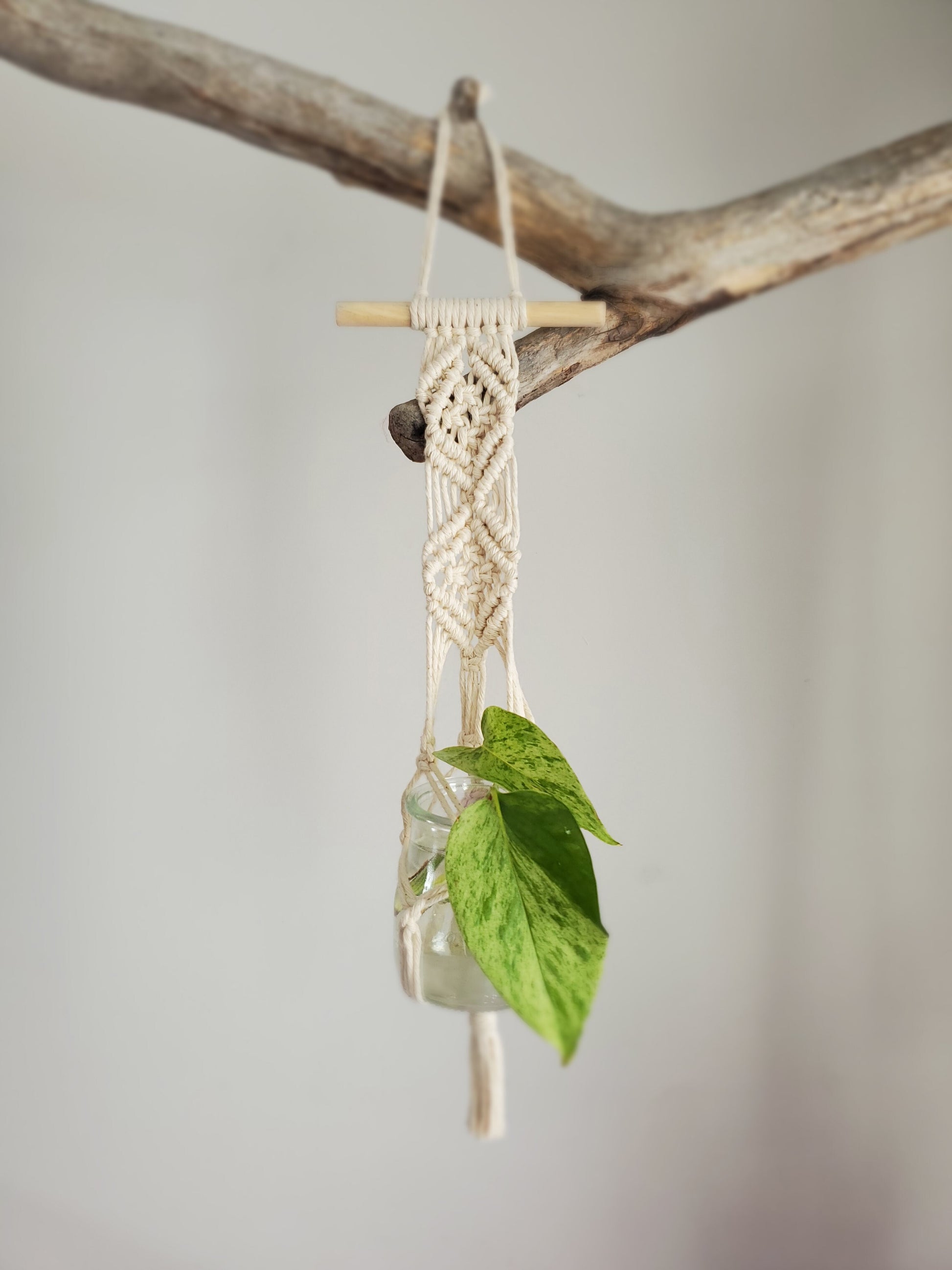 Station de propagation