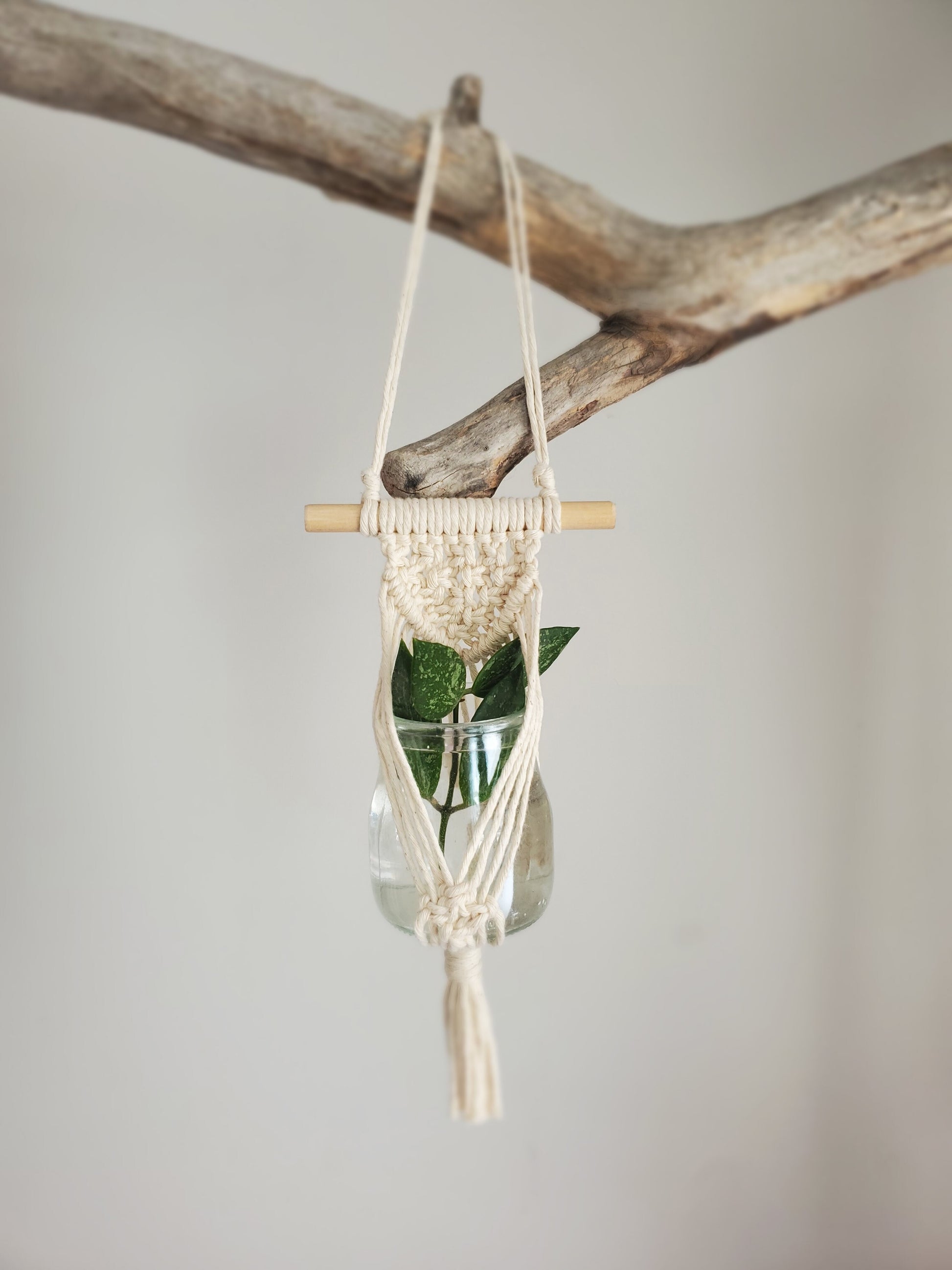 Station de propagation