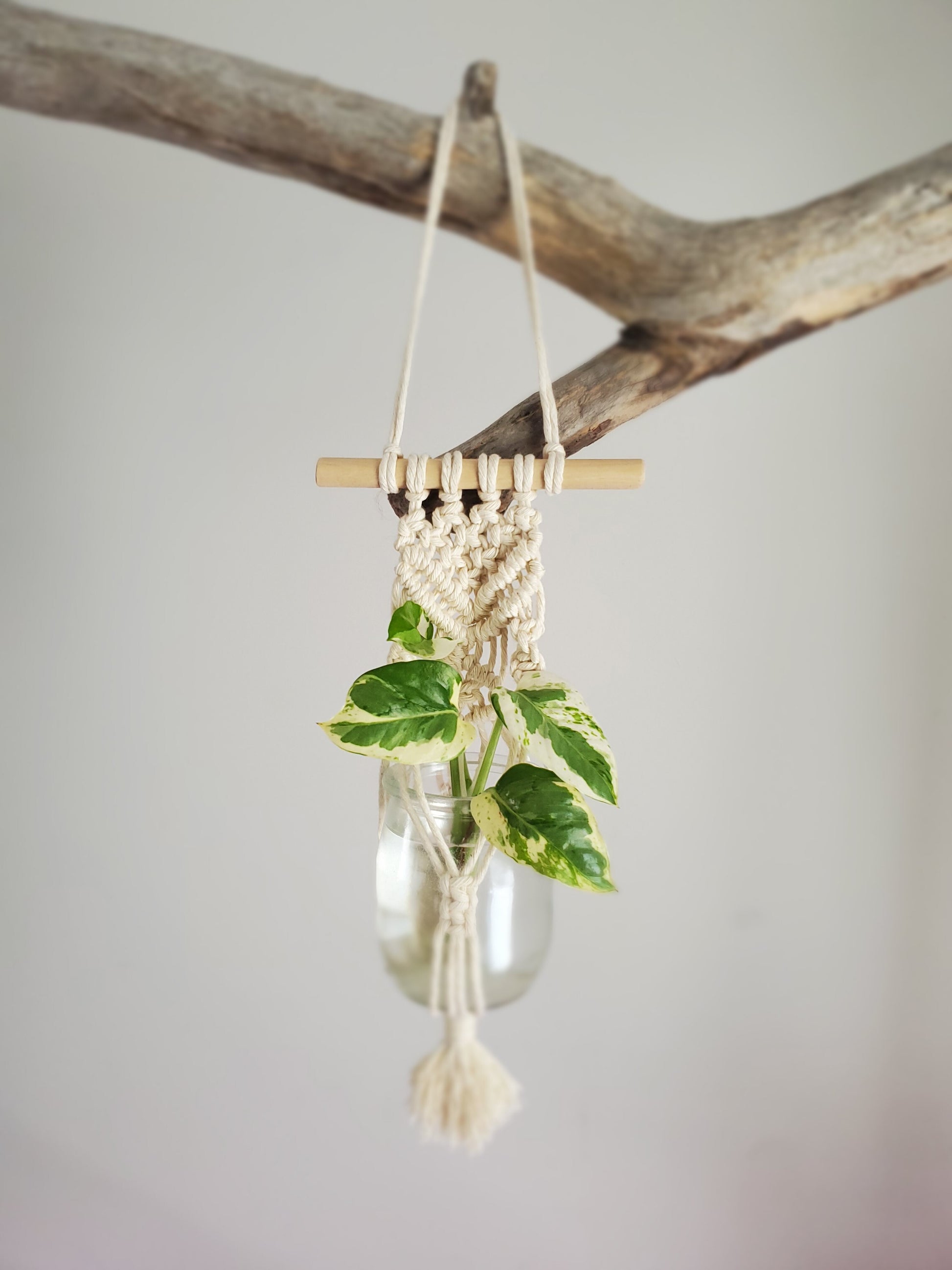 Station de propagation